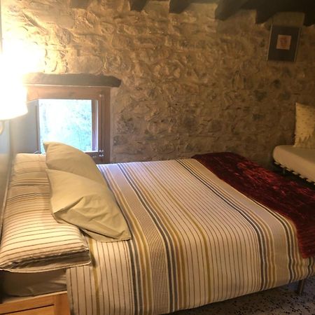 Penzion Mas Molladar Solo Adultos Camprodon Exteriér fotografie